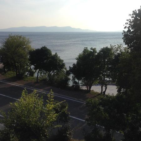 סנג' Apartment Marina Senj מראה חיצוני תמונה